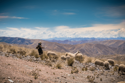 Carnet de voyage de Bruno Maximin - Jusqu'au lac Titicaca